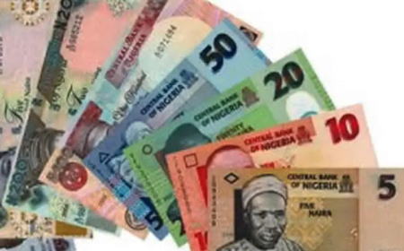 Inflation bites harder, renders N20, N10, N5 ‘irrelevant’