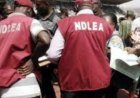 NDLEA Burst Two Billionaire Drug Cartels   ……..intercepts drugs concealed in imported vehicle compartments