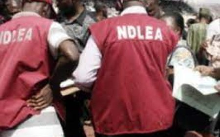NDLEA Burst Two Billionaire Drug Cartels   ……..intercepts drugs concealed in imported vehicle compartments