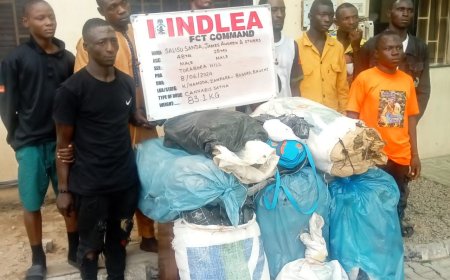 NDLEA intercepts codeine shipment, opioids conceal in ladies’ hair  …….Arrests Nigerien with illicit drugs concealed in pesticide tanks