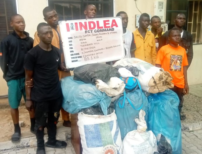 NDLEA intercepts codeine shipment, opioids conceal in ladies’ hair  …….Arrests Nigerien with illicit drugs concealed in pesticide tanks